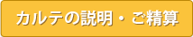 カルテの説明・ご精算